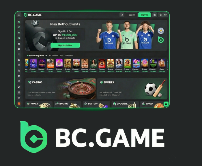 Explore the Future of Gaming with BC.Game Mirror App